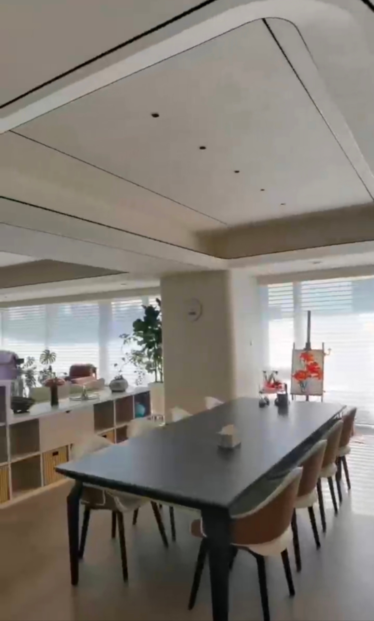 电动开合帘